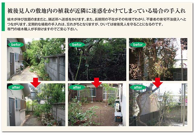 被後見人の敷地内の植栽が近隣に迷惑をかけてしまっている場合の手入れ